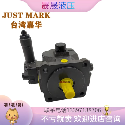 Spot Taiwan Jiahua Lastmark Leaf Pump HVP-40-FA3 HVP-30-FA2 HVP-20-FA1