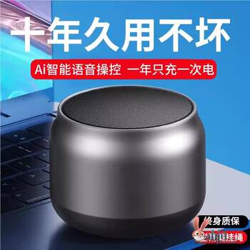Camping Portable Mini Speaker Bluetooth Speaker Super Subwoofer Wireless High-Quality Home-Style Small Outdoor