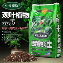 Special nutritional soil for leaf-viewing green leafy plants Household green dill fortune tree Humberto flower soil Tiger Pilan planting soil