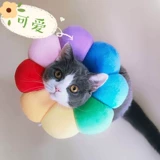 Подсолнечный кот Элизабет собака голова мягкая ткань человеческое кольцо бассейн Rannovies Подсолнечник Большой большой катал укус кошка мох