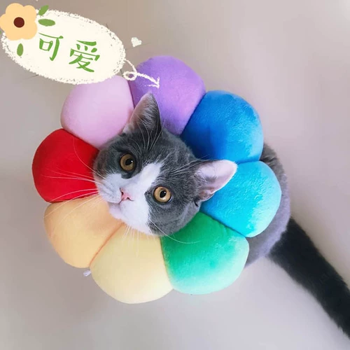 Подсолнечный кот Элизабет собака голова мягкая ткань человеческое кольцо бассейн Rannovies Подсолнечник Большой большой катал укус кошка мох