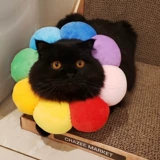 Подсолнечный кот Элизабет собака голова мягкая ткань человеческое кольцо бассейн Rannovies Подсолнечник Большой большой катал укус кошка мох