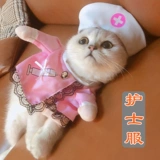 Кошка и одежда для кошки смешной, смешной дуйин тот же костюм для домашних животных кошачьи котенок котенок котенок, собачья одежда осень и зима