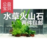 Украшение воды -Современная павлинская рыба вулканическая каменная вода