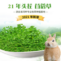 Radish Valley 21 years new drying alfalfa rabbit Chinchilla guinea pig Dutch pig hay pasture rabbit grain 1kg