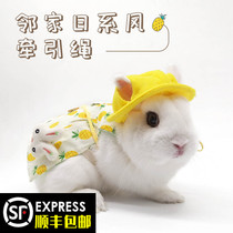 Radish Valley rabbit clothes summer pet rabbit walking rabbit traction rope prevention break free out vest rabbit clothes