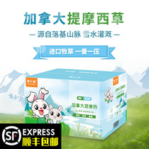 21 years Canada imported Timothy grass 1kg box rabbit hay section rabbit ChinChin guinea pig pasture snow