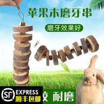 Radish Valley pet apple wood molars skewers rabbit ChinChin molars supplies guinea pig apple branch bite string