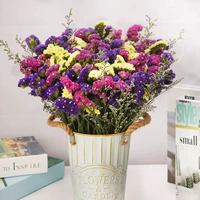 Роза красный+желтый+фиолетовый+любовник трава 2 фунта