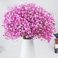 Розовый полный звездный луч (исключая бутылку)