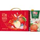 汇源浓缩果蔬汁饮料整箱礼盒