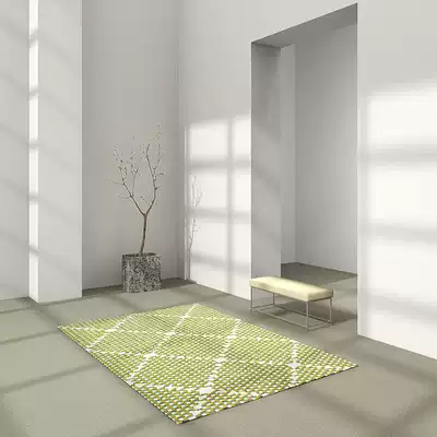 (One blanket and one painting) Nordic light luxury art retro carpet living room bedroom cloakroom coffee table mat can be customized