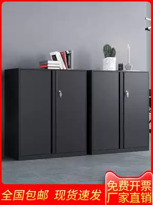 Office file cabinet Iron cabinet storage cabinet Low cabinet Information cabinet Financial cabinet Employee file office cabinet Small cabinet