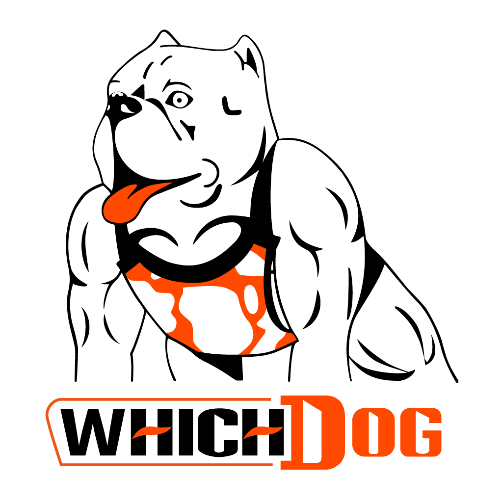 骏威神犬品牌店