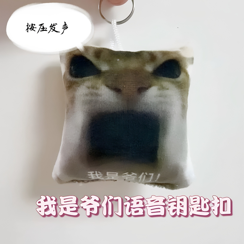 Internet Celebrity Prank Toy: I'M a Dude Cat Voice Keychain - Press to Sound, Plush Toy, Gift for Friends