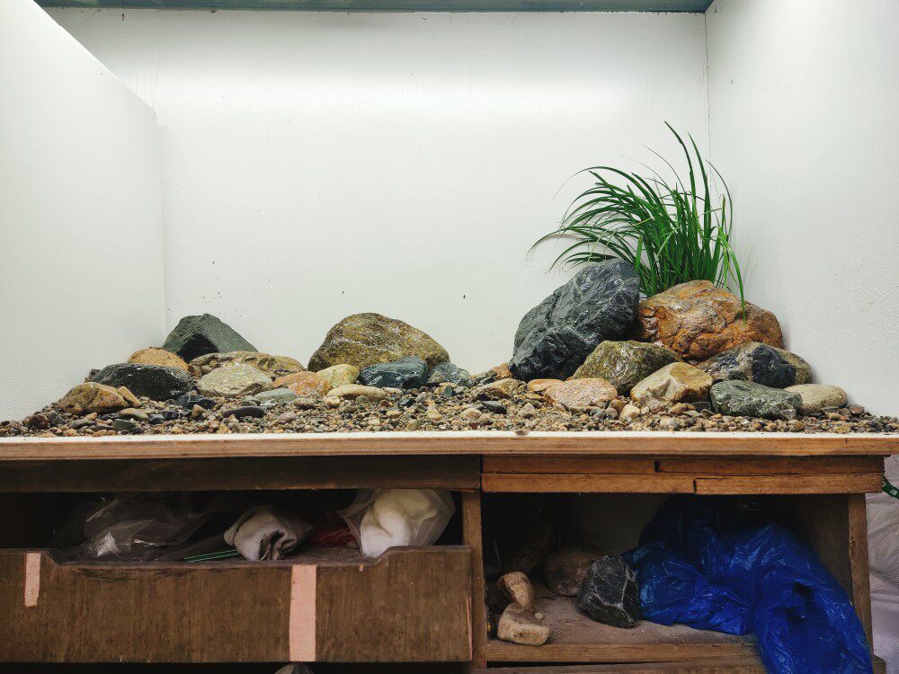 Stream native cylinder Landscaped Stream Stone Natural Goose Pebble Fish Tank Building portfolio stone package Three lakes Cired snapper