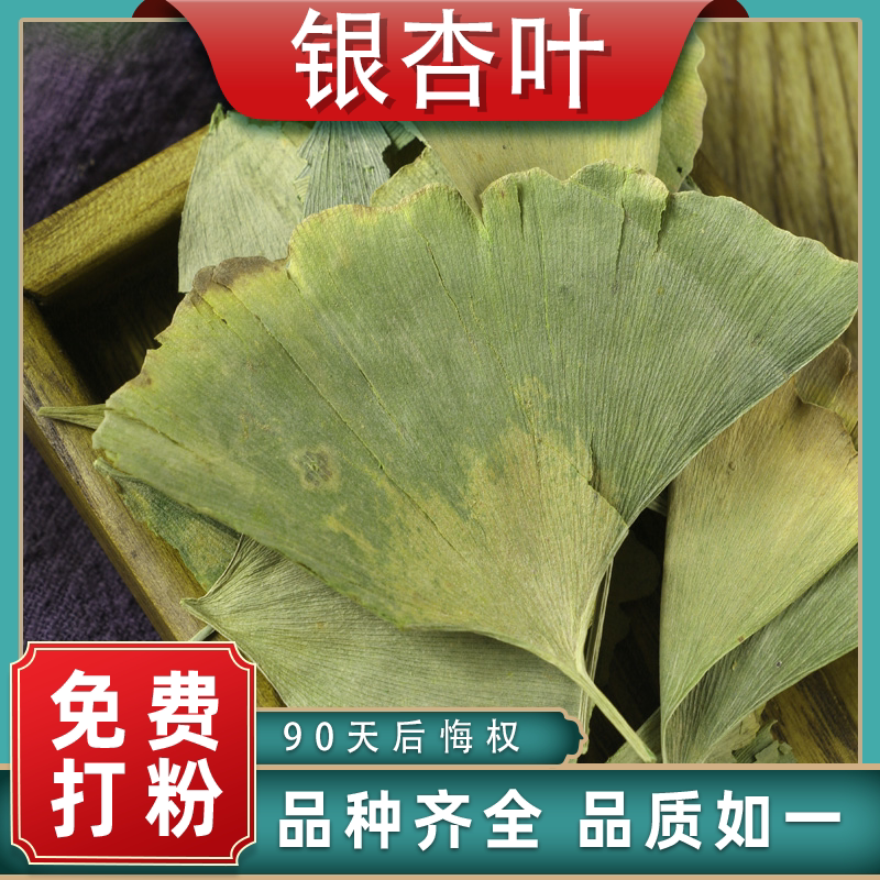 Ginkgo biloba Chinese medicinal materials Medicinal Chinese herbal medicine Daquan fresh ginkgo leaves dry goods can be used with tangerine peel tea new goods origin