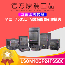 Huasan H3C LSQM1CGP24TSSC0 7503E-M switching routing engine module