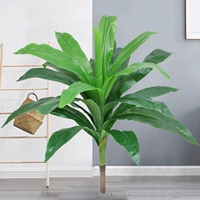 70 сантиметров одиночной зеленой Бразилии (без горшков)