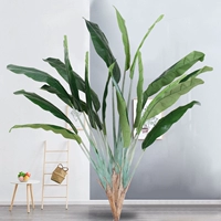 2,6 метра из трех -отборочного банана для путешественников (без горшков)