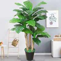 1,7 метра трех выстрелов банановое дерево+горшок+трава