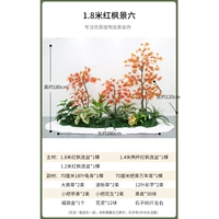 1,8 метра красного кленового просмотра шесть