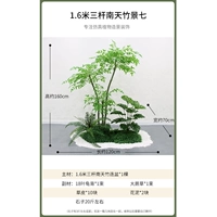 1,6 метра трех выстрелов, Nan Tianzhong Seven