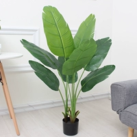 1,2 метра красивых путешественников банановые таз