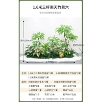 1,6 метра трех выстрелов, Nan Tianzhong Six