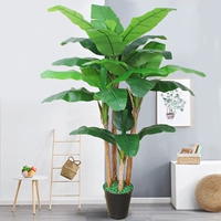 2,2 метра четырех -наложенного бананового дерева+горшок+трава