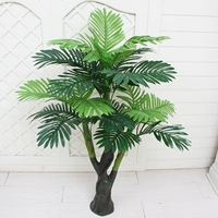 1,3 метра подсолнечного дерева (без горшков)