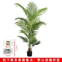 1,6 метра наложниц Kwai Lianxian+корзина