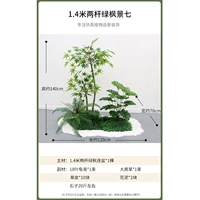 1,4 метра двух выстрелов зеленого клена видом на семь