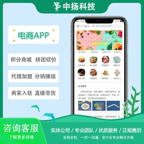 E-commerce APP development takeout group buying community Points Mall APP custom applet development UI original design