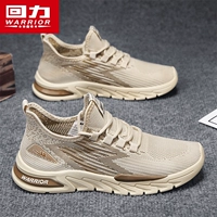 Card Brown [Нормальное издание]