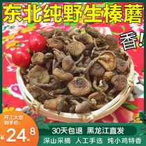 Northeast wild hazelnut mushroom chicken stewed mushrooms Dry goods Deep Mountain specialty hazelnut mushroom diced new goods Shiitake mushroom wild bacteria 200g