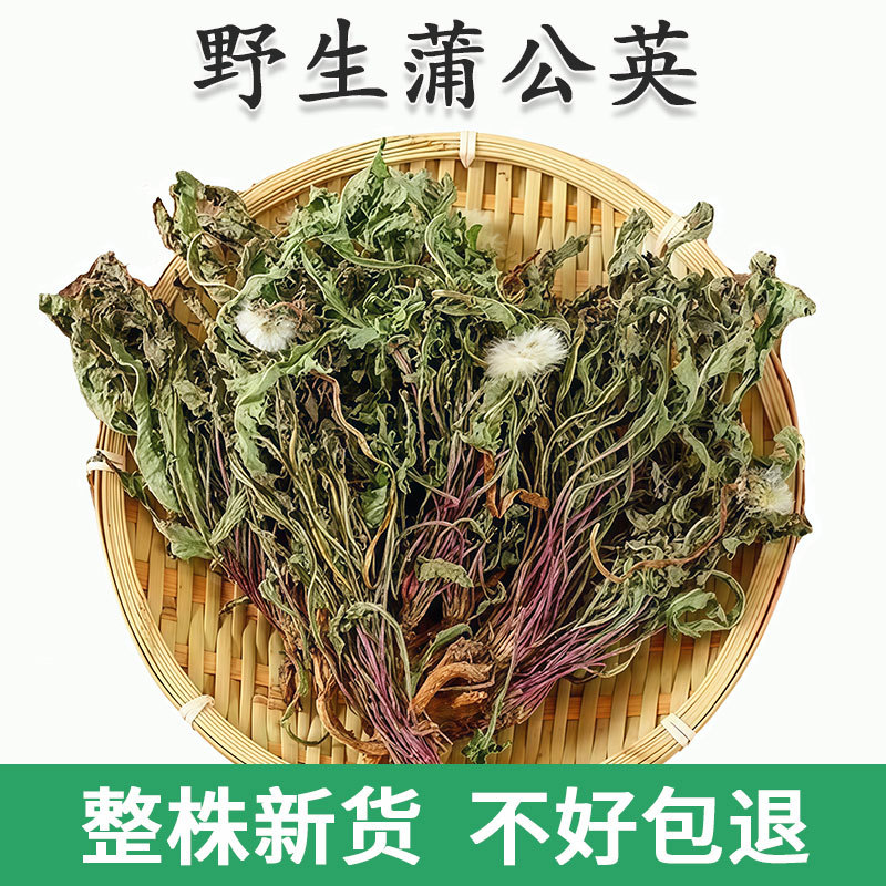 Dandelion Chinese Herbal Medicine Dried Grass, Genuine Premium Wild Chinese Medicinal Material, Ground into Powder, Mother-In-Law's Button, Prunella Vulgaris, for Making Tea