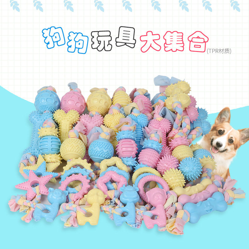 Large collection of dog molar tampon toys