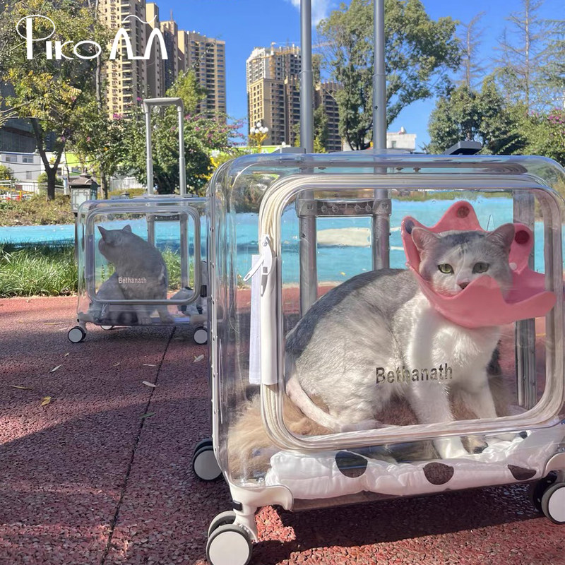 Pet rolling suitcase, cat bag, dog travel case, portable transparent cat luggage, carry-on bag