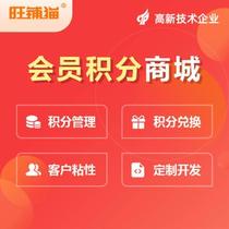 Small Programs Shang City Development Public Number Custom Website Making Shopping Building APP Points Platform 500-41