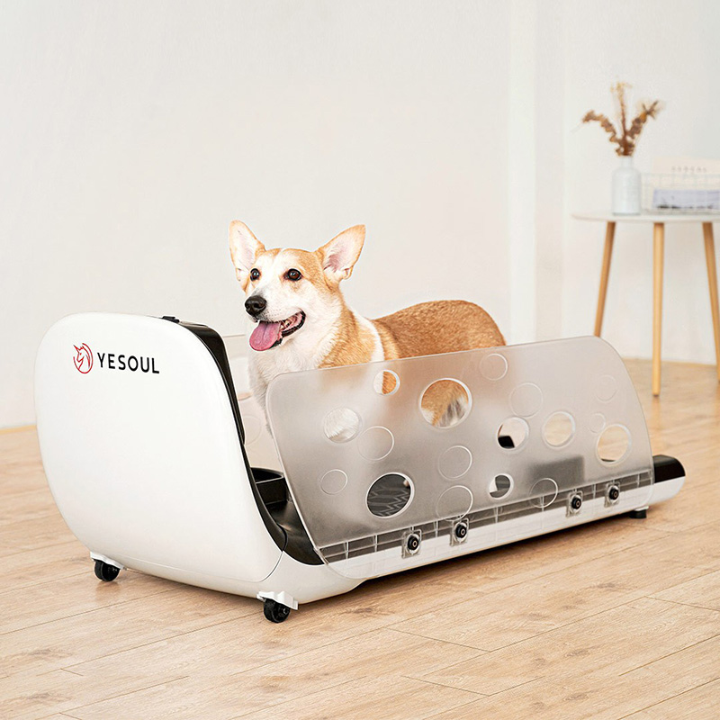 YESOUL Wild Beasts Pet Treadmill Home Sports Mute Smart Cat Dog Training Machine Q1 Pooch Treadmill