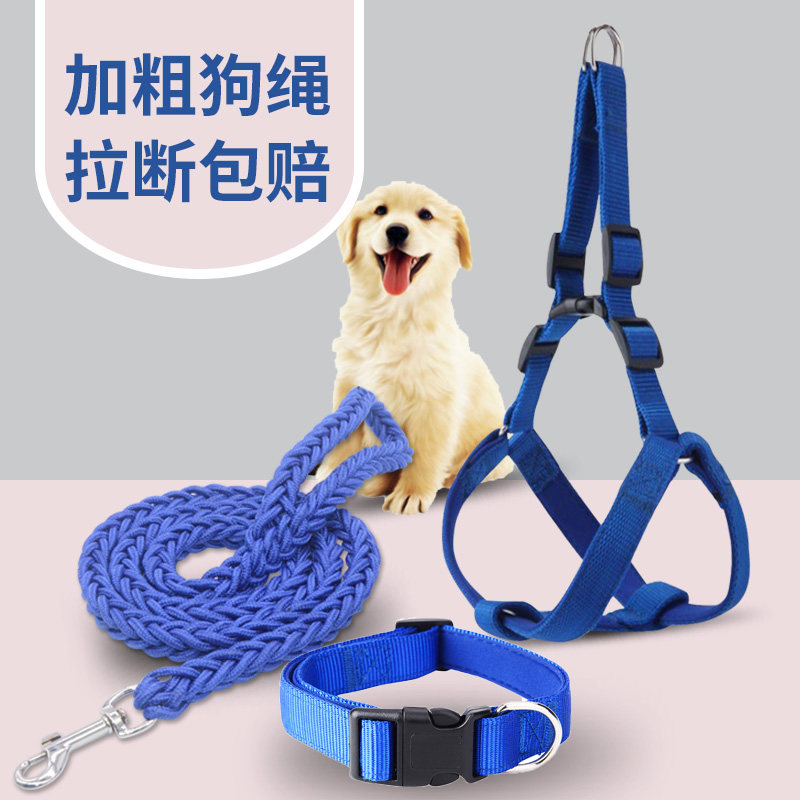 Thicken-thicker dog traction rope walking dog strap with Teddy gold small medium-sized dog dog chain