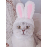 Милый шлем, шапка, аксессуар для волос, кролик, кот, домашний питомец