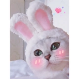 Милый шлем, шапка, аксессуар для волос, кролик, кот, домашний питомец