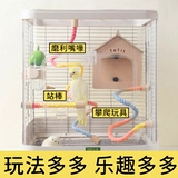 Это подходит для попугаев, чтобы повернуть скалолазание, черный феникс пион, тигровая кожа качели