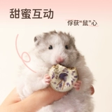 Он подходит для закусок хомяка, золотого шелкового зернового зерна для хомя