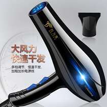 New Blue Light Hair Dryer Quick Dry Hair Care Big Efficacy Electric Blow Home Hair Salon Appliances
