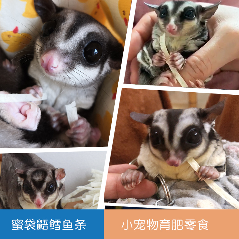 Honey Bag ZERO Snack Cod Fish Bars Pet Hamster Squirrels Squirrels Squirrels Fly Rat Nectar Hedgehog Eat Nutritious Food