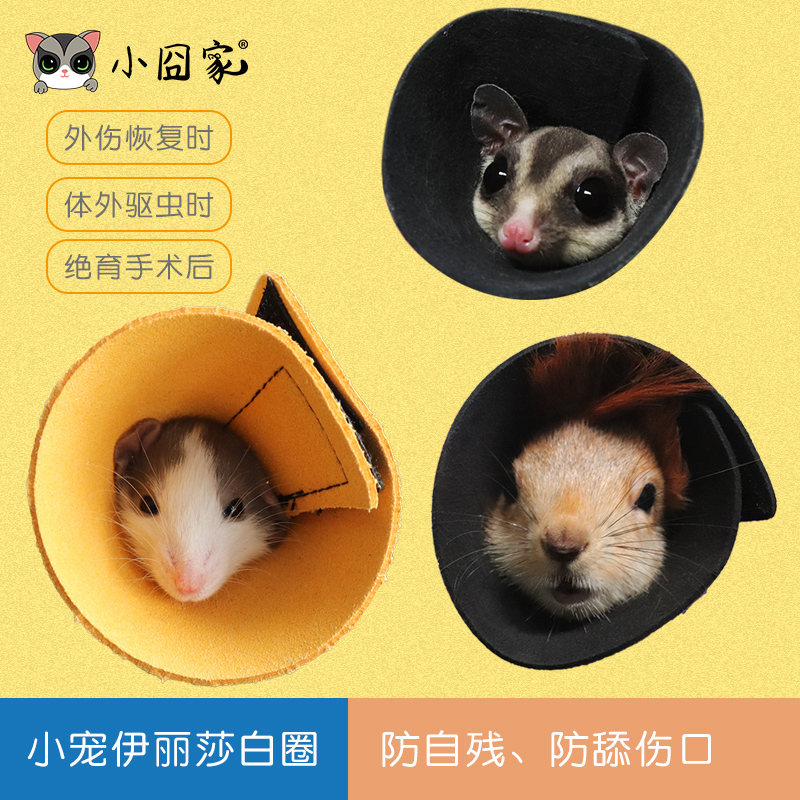 Squirrel honey bag Hamster Hamster Hamster Flowers and Mouse Anti-bite ring Elizabeth Circle Bath Small Darling items adjustable for self-inflicted