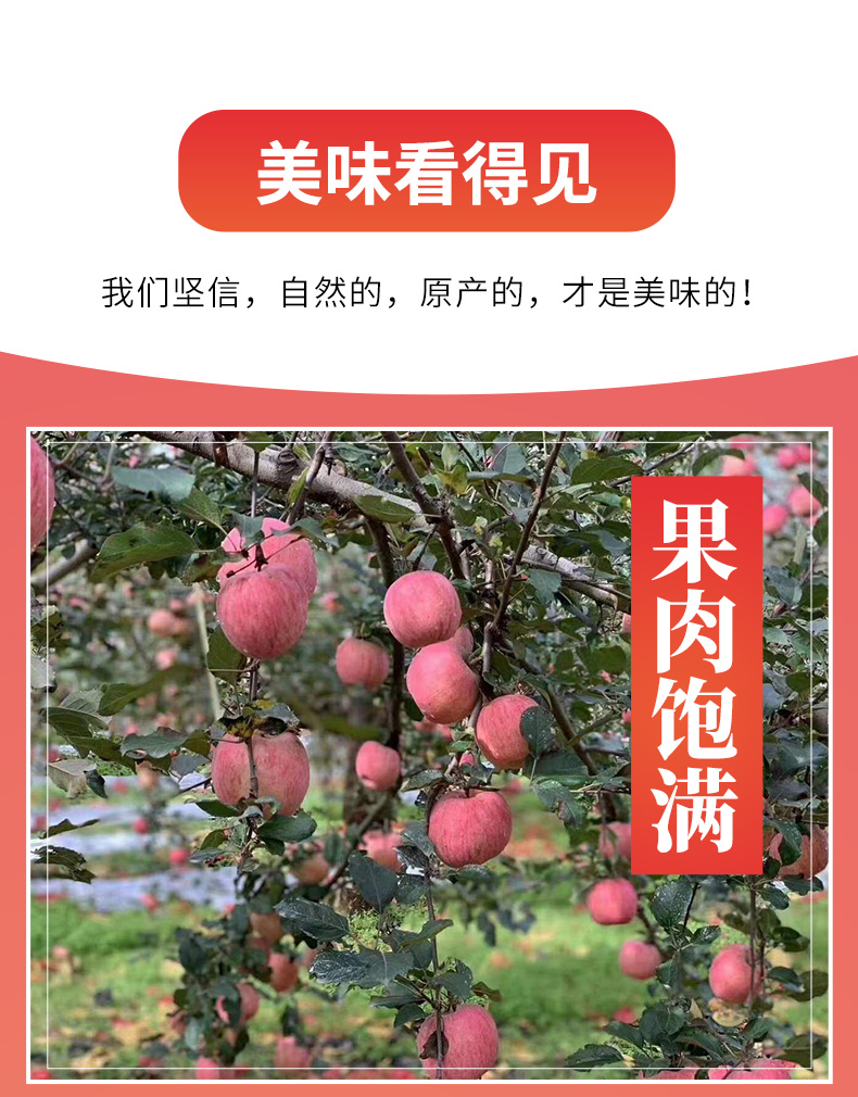 【3斤80-85】正宗洛川红富士苹果